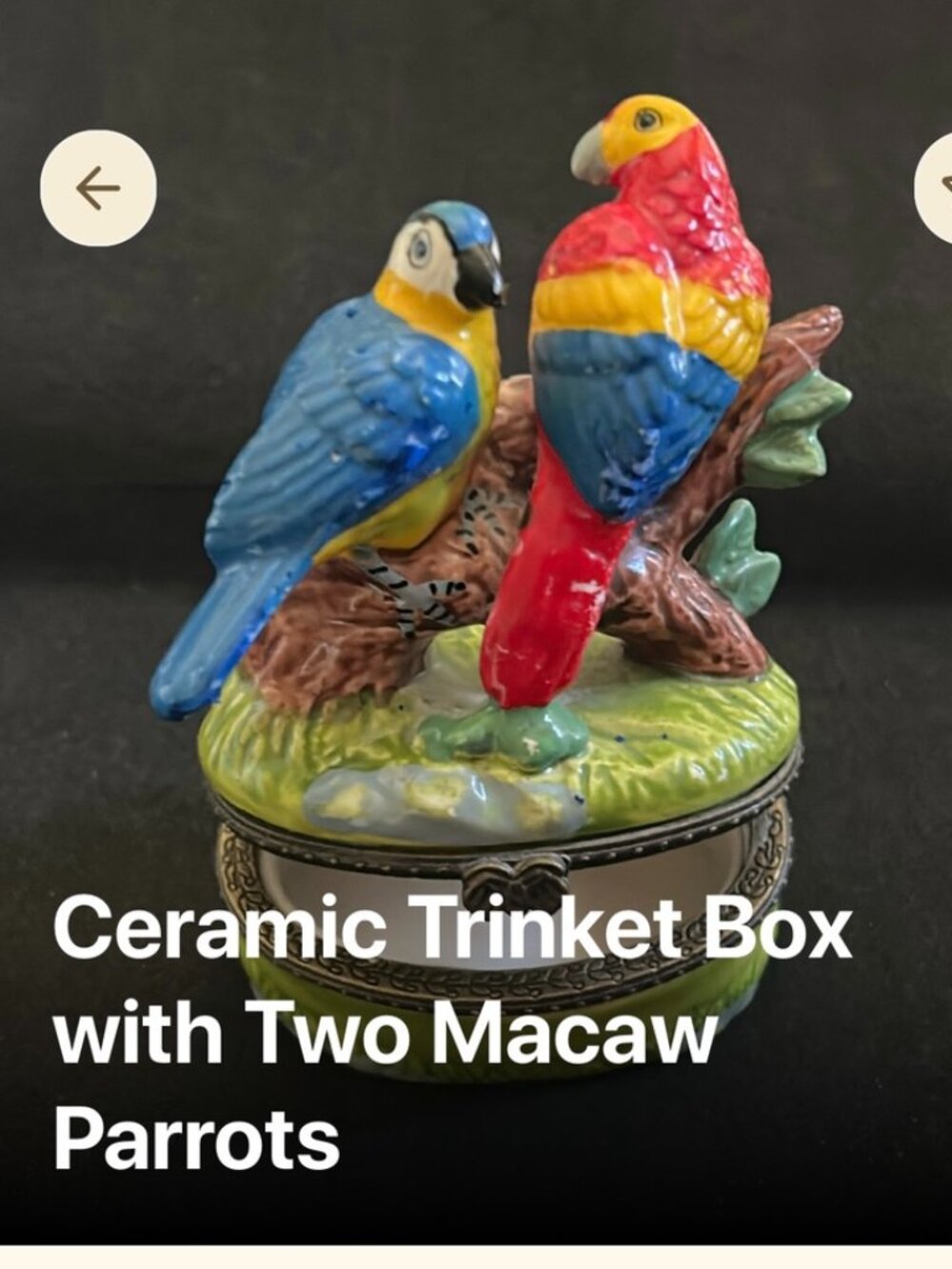 VTG! Tropical Macaw Parrots Ceramic Hinged Trinket Box